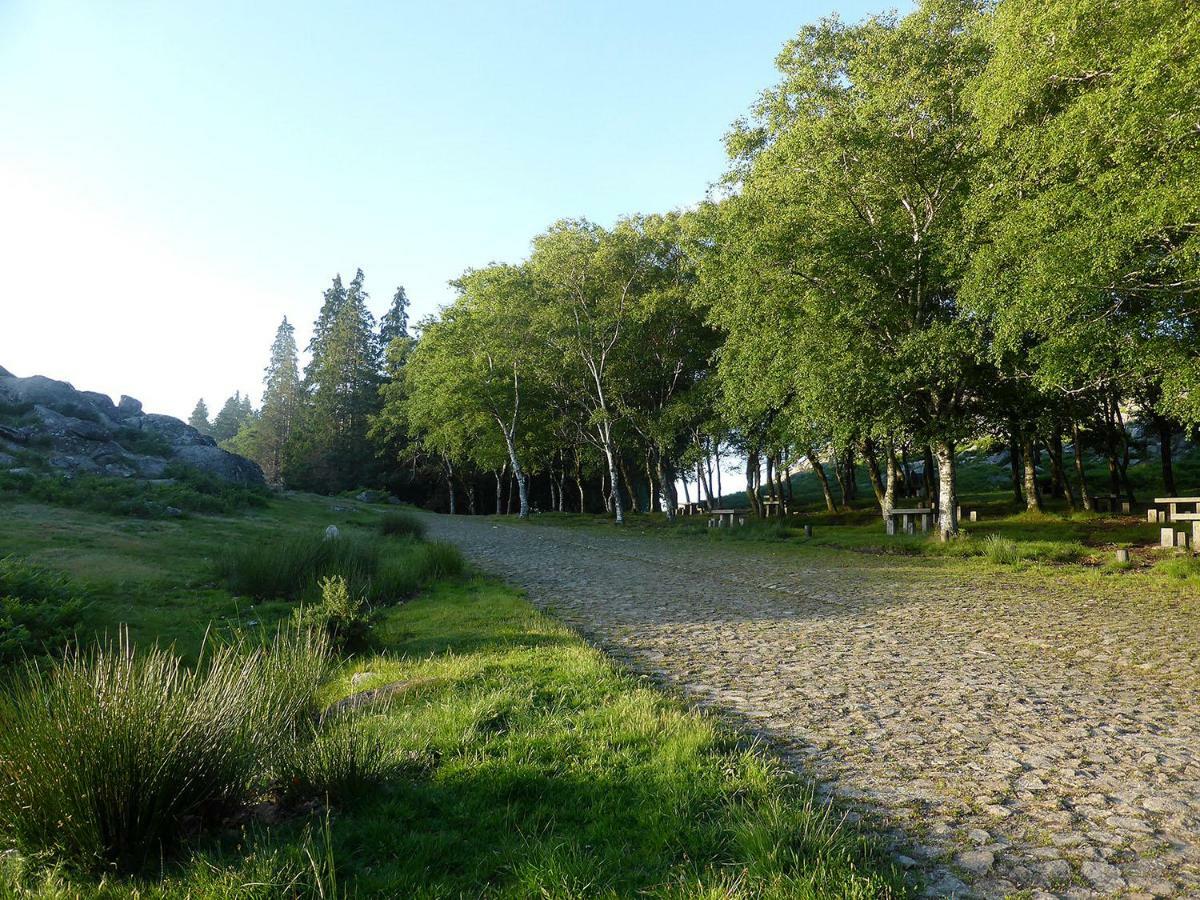 Casa Da Eira Velha Villa Vale de Cambra Eksteriør bilde
