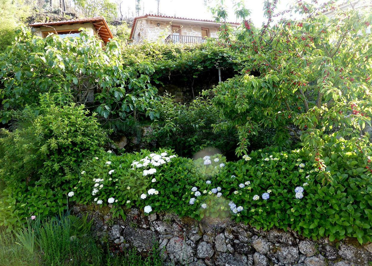 Casa Da Eira Velha Villa Vale de Cambra Eksteriør bilde