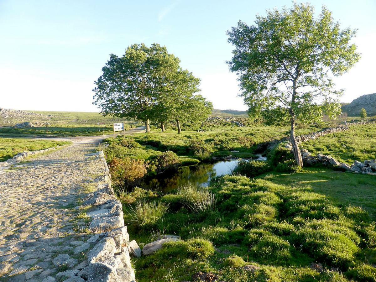 Casa Da Eira Velha Villa Vale de Cambra Eksteriør bilde